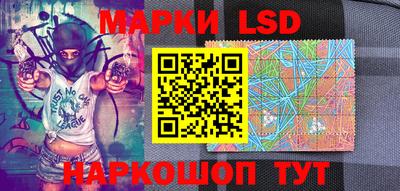 винт Донецк