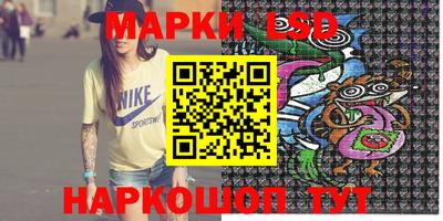 винт Донецк