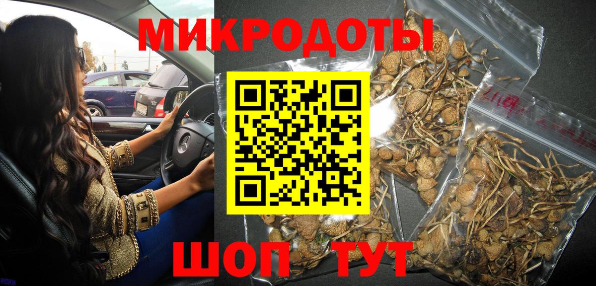 Назрань  продажа наркотиков  Вход с VPN  Псилоцибиновые грибы MAGIC MUSHROOMS  Галлюциногенные грибы ЛСД 