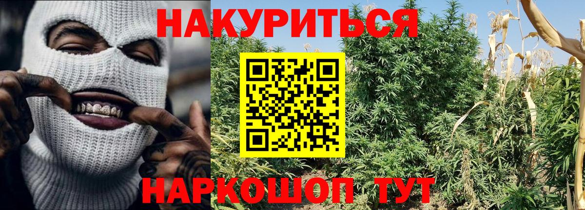 Конопля VHQ  Каннабис гибрид  МАРИХУАНА сатива  Назрань  Бошки марихуана Ganja  Вход с VPN 